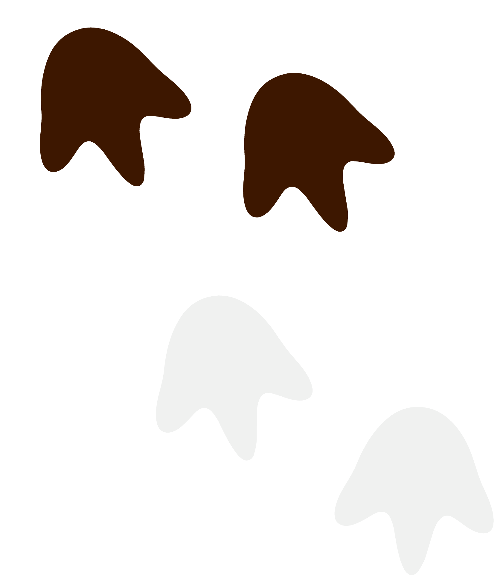 Footprints